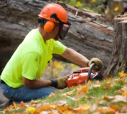 tree services Grosse Tete